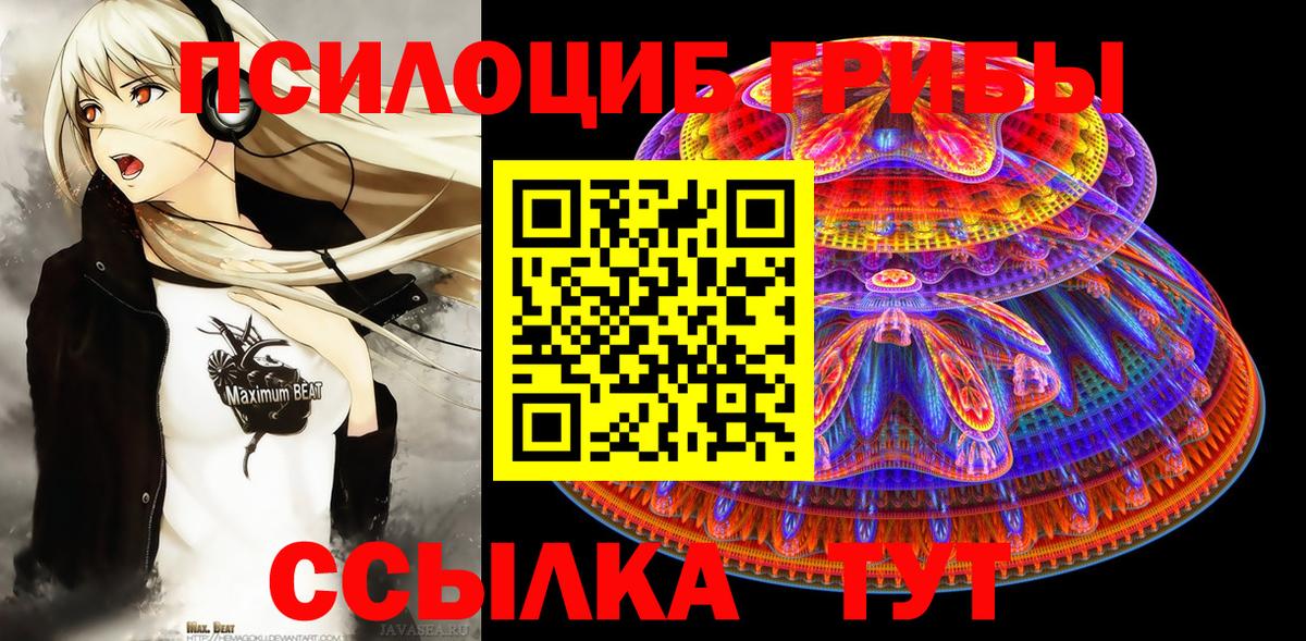 наркотики  Вход с VPN  Армавир  Галлюциногенные грибы Cubensis  Псилоцибиновые грибы Cubensis 